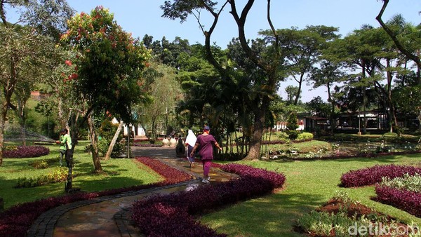 Jasa Pembuatan Taman Tasikmalaya