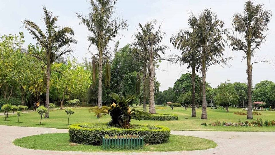 jasa taman Garut