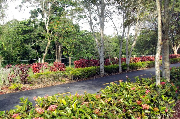 jasa taman Sumedang