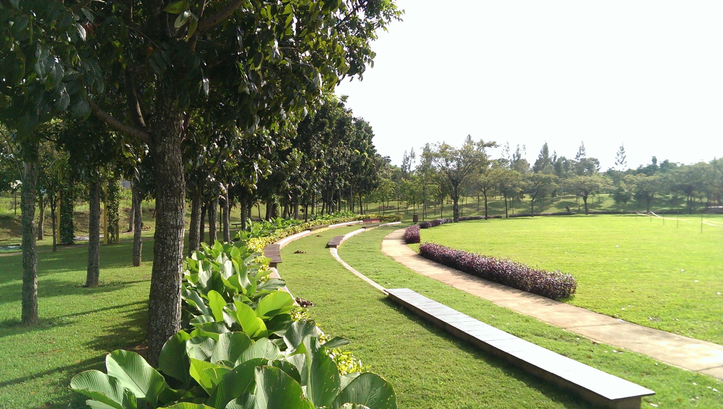 Kontraktor Landscape Taman Cianjur