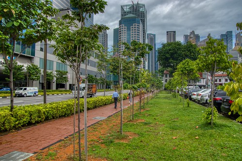 Kontraktor Taman Cirebon